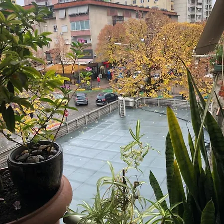 3m Urban * טיראנה